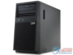 IBM x3100 M4服务器 高性能数据处理与存储的双重保障